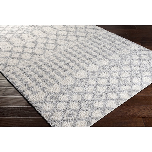 Deluxe Shag DXS-2312 Machine Crafted Area Rug